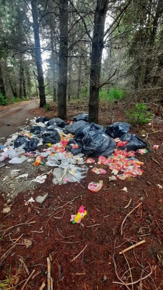 Notifoto: Tiraron bolsas vacías de pollo en el Camino Viejo al Catedral 