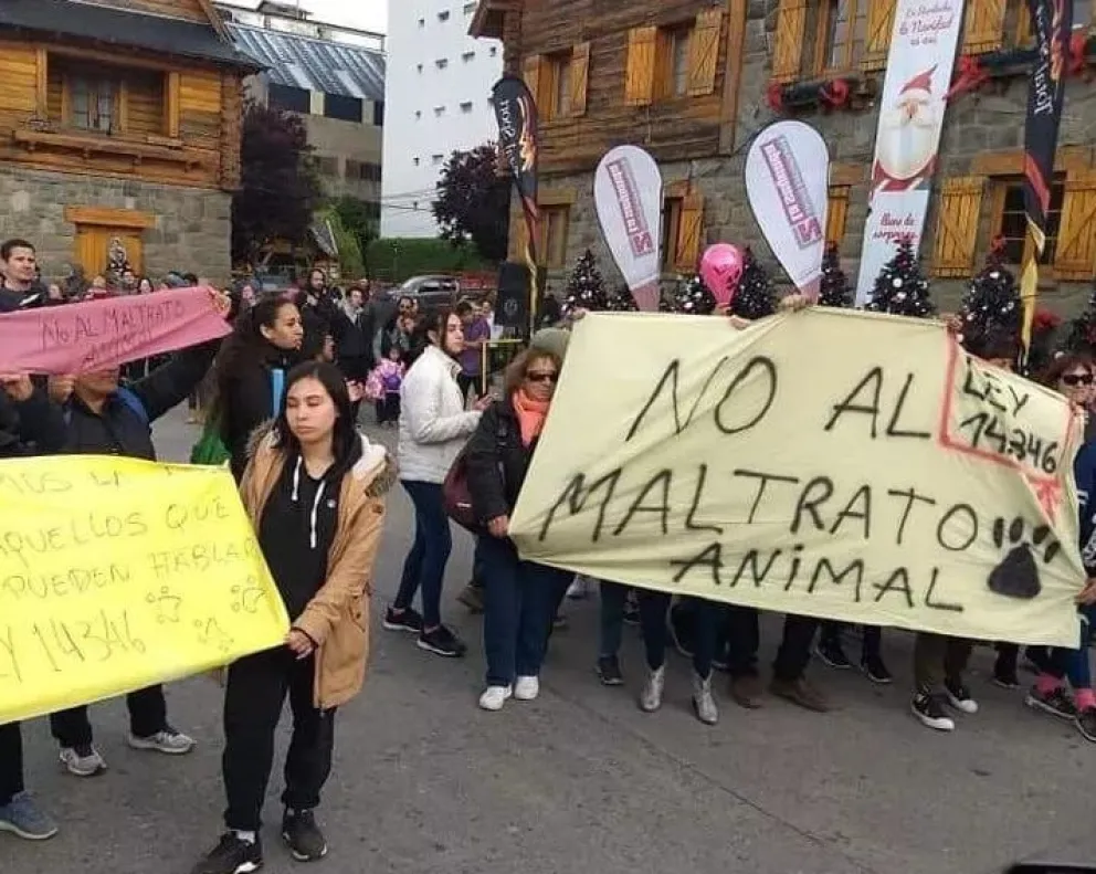 Convocan a una movilización contra el "maltrato animal y la desidia"