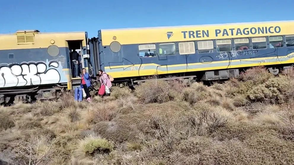 Luego del desperfecto, el Tren Patagónico funciona con normalidad