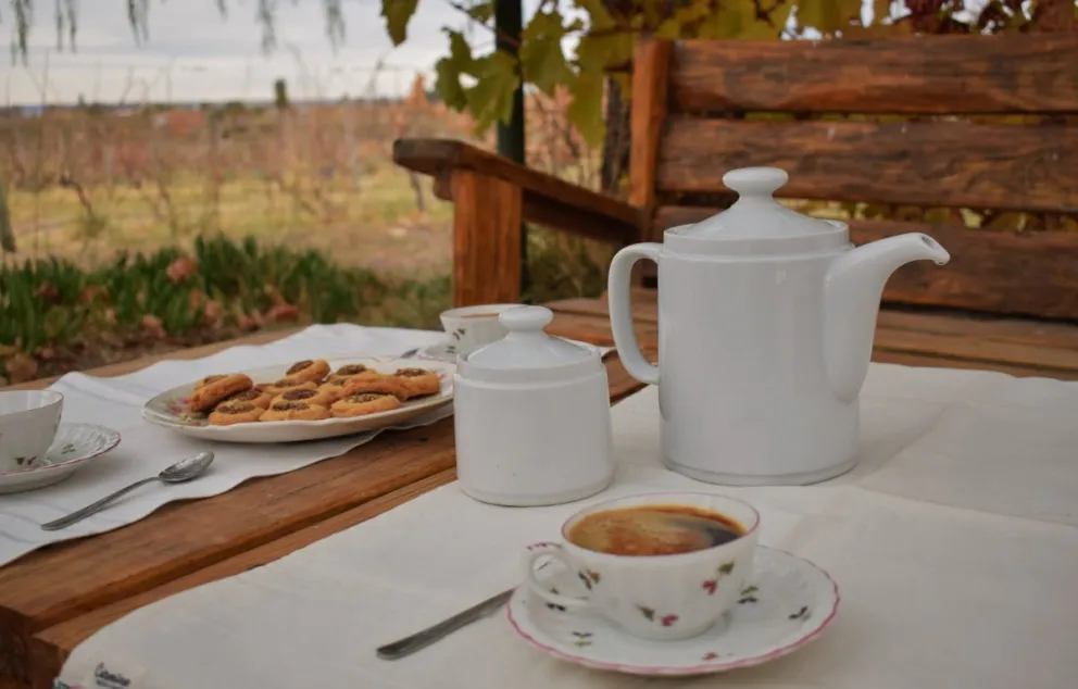 Río Negro invita a recorrer los Valles entre viñedos, chacras, bardas y ríos