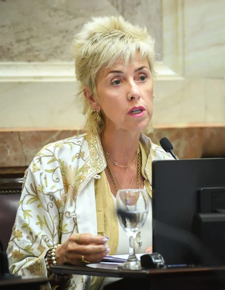 Larraburu presentó un Proyecto para garantizar el derecho de los niños y adolescentes a ser escuchados en la justicia