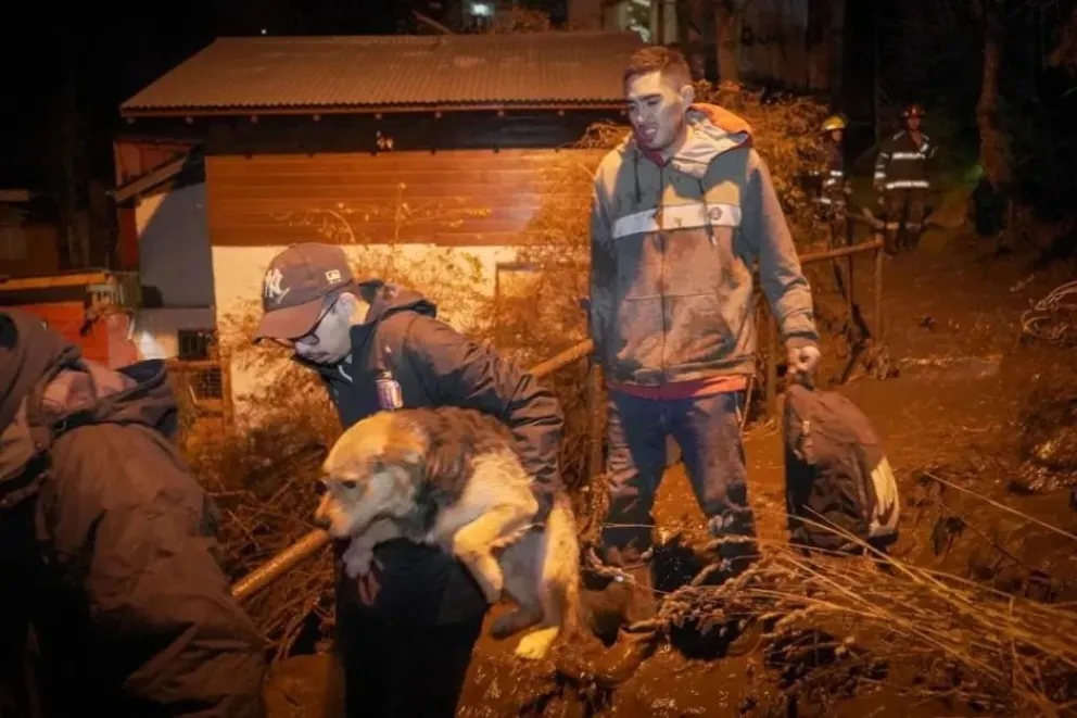 San Martín de los Andes: 20 familias fueron evacuadas por el deslave de un cerro