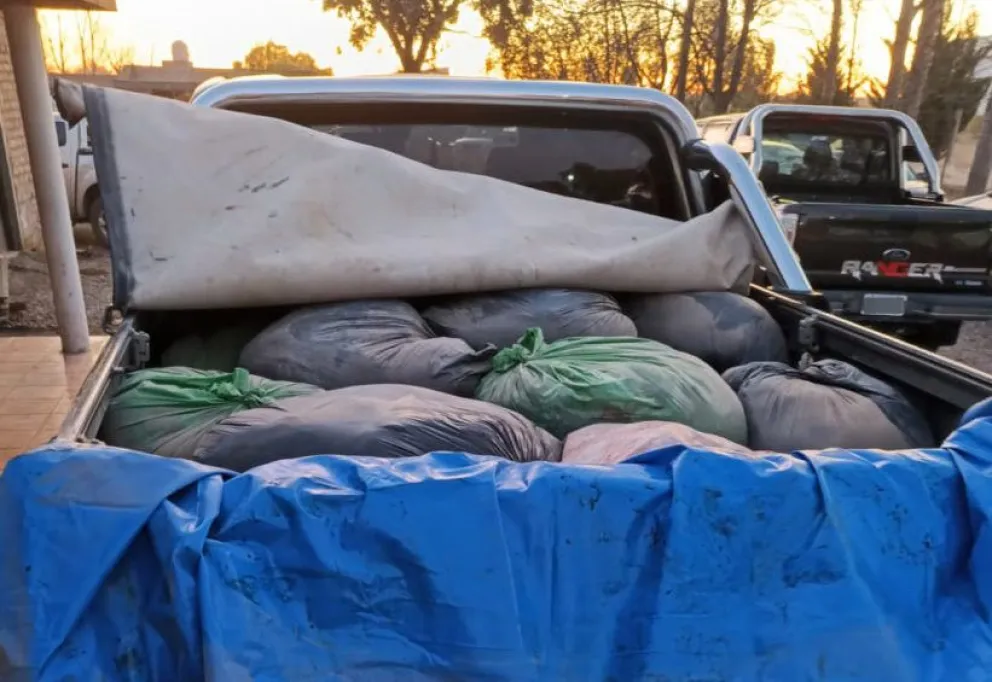 Decomisaron 1200 kilos de carne en Choele Choel