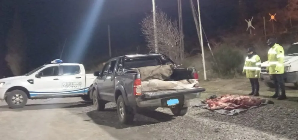 Operativo de Seguridad Vial: Decomisan ternero faenado y transportado de manera ilegal