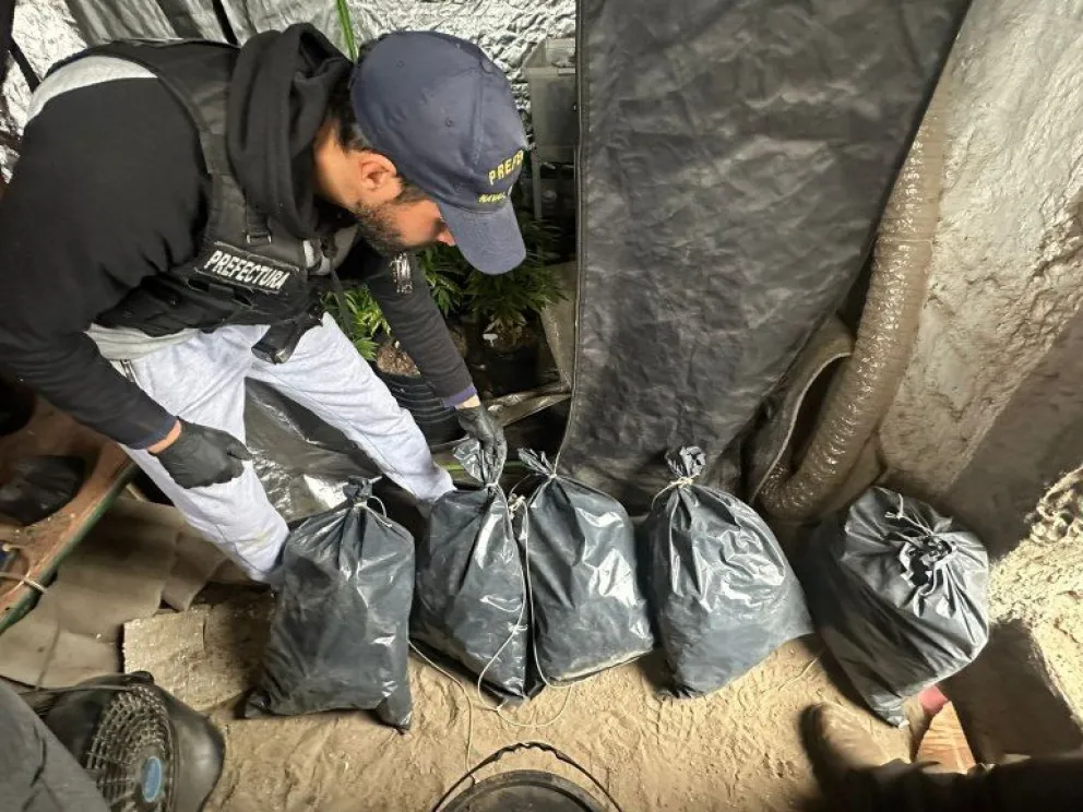 Un detenido tras el decomiso de más de 55 millones de pesos en marihuana en San Antonio Oeste
