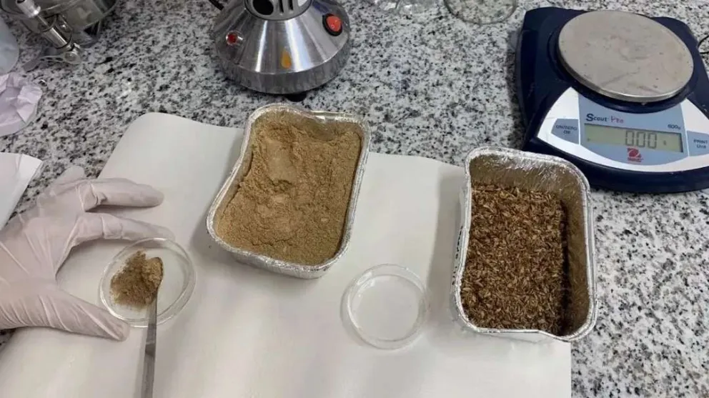 Desarrollan alimentos a partir de subproductos de la industria cervecera