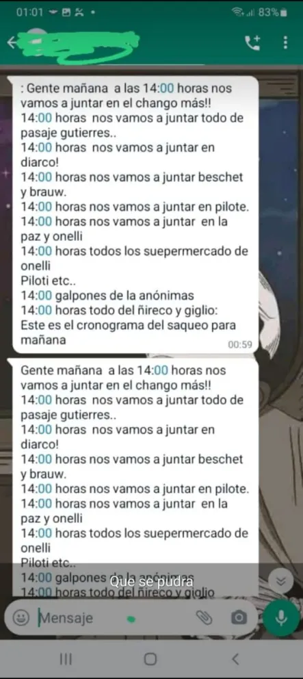 Así se organizaron para saquear distintos comercios de Bariloche