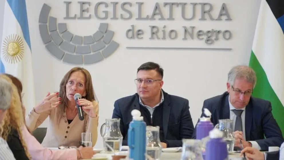 Legislatura: Trabajan en la implementación del nuevo Sistema Procesal Penal