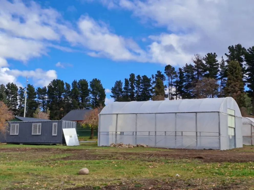 Capacitarán en producción y mantenimiento de plantas para espacios verdes urbanos a trabajadores municipales