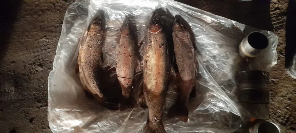 Infraccionaron a pescadores furtivos en Ñirihuau