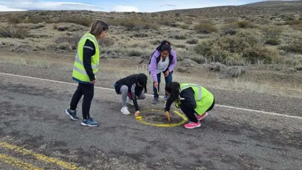 Maestras neuquinas tuvieron que pintar los pozos de amarillo sobre la Ruta 40