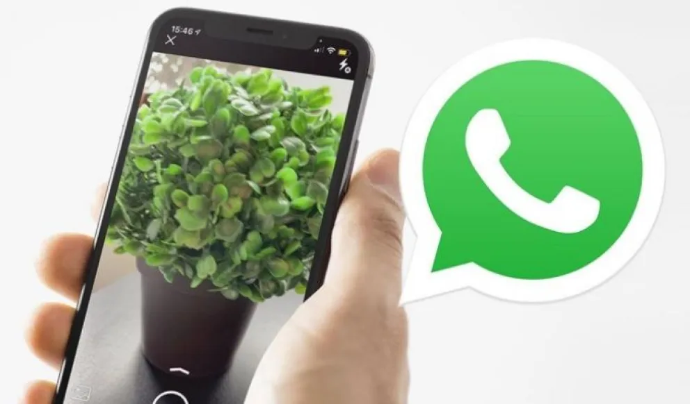 Novedades de WhatsApp: archivos y grupos más grandes