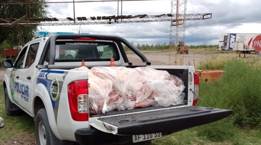 Faena clandestina: Secuestraron carne en mal estado en comercios de Río Colorado