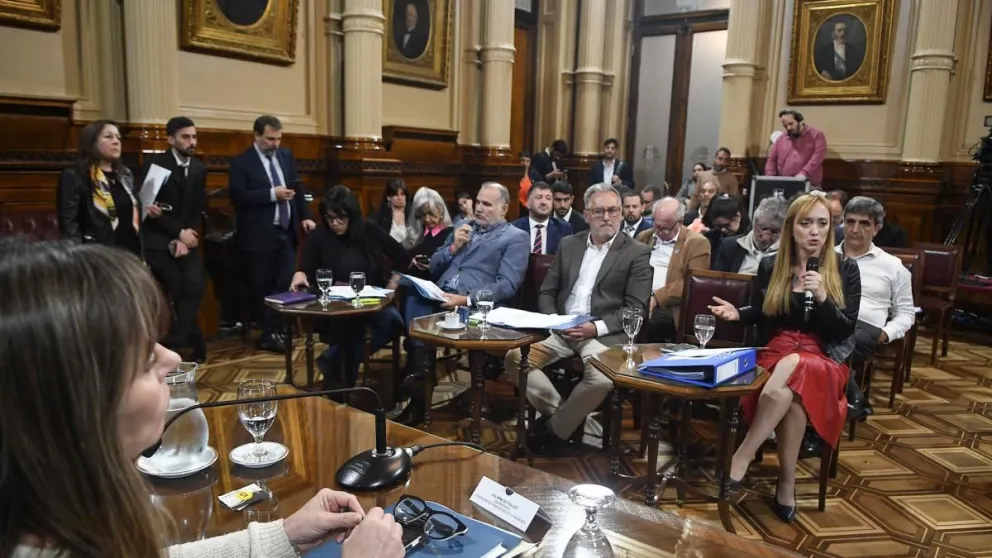 El proyecto sobre devolución del IVA obtuvo dictamen en el Senado