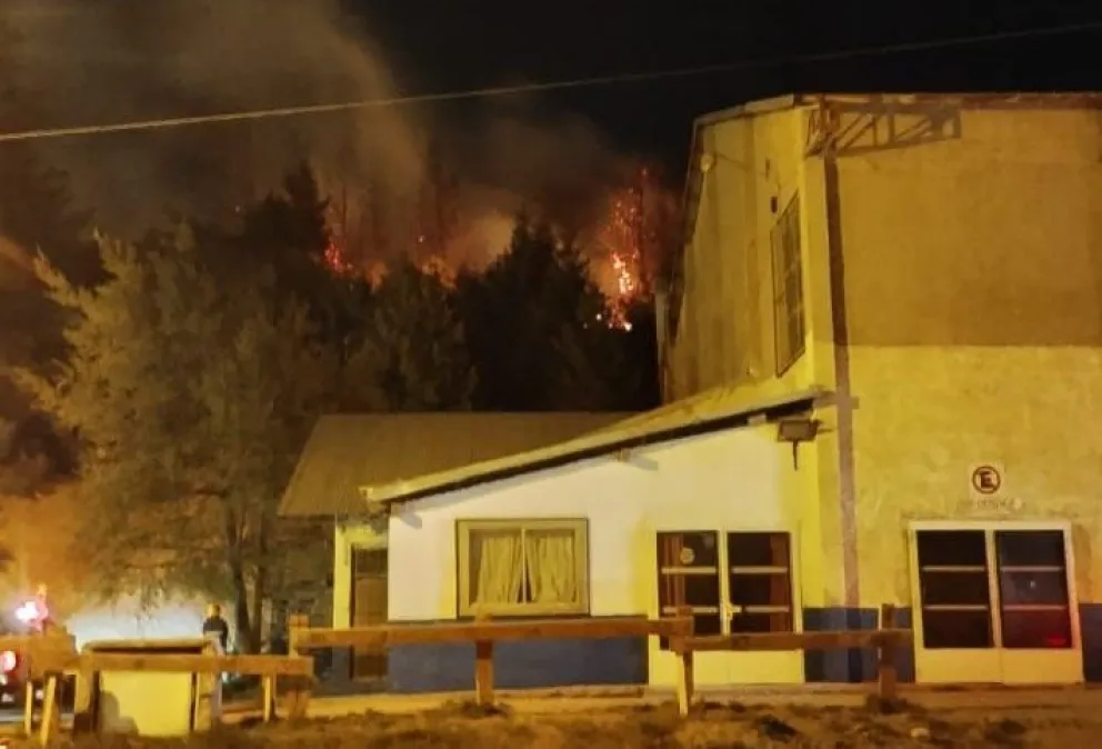 Lograron sofocar un importante incendio forestal en la zona del Gimnasio Municipal 2