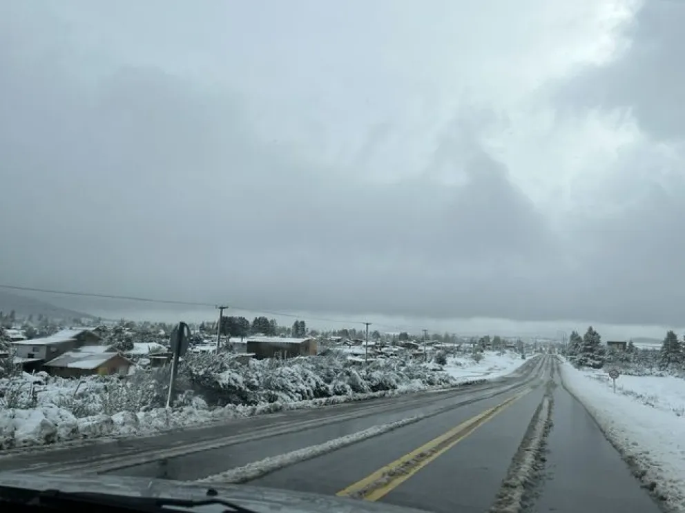 La nevada en imágenes 