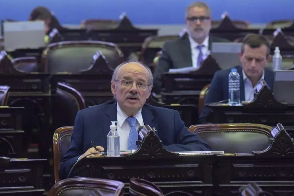 Di Giacomo acompañó el repudio a Hamás en Diputados