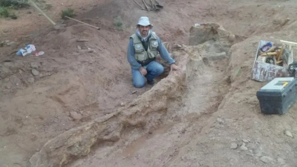 Descubrieron una nueva especie de dinosaurio con el cuerpo "casi completo" en la Patagonia