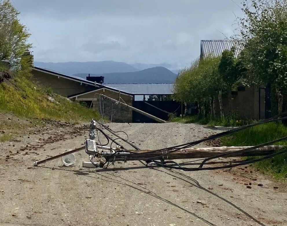 Notifoto: Postes del tendido eléctrico cayeron en Pehuén y Los Cerezos