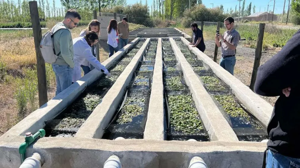 Río Negro recibió financiamiento para realizar 10 proyectos tecnológicos