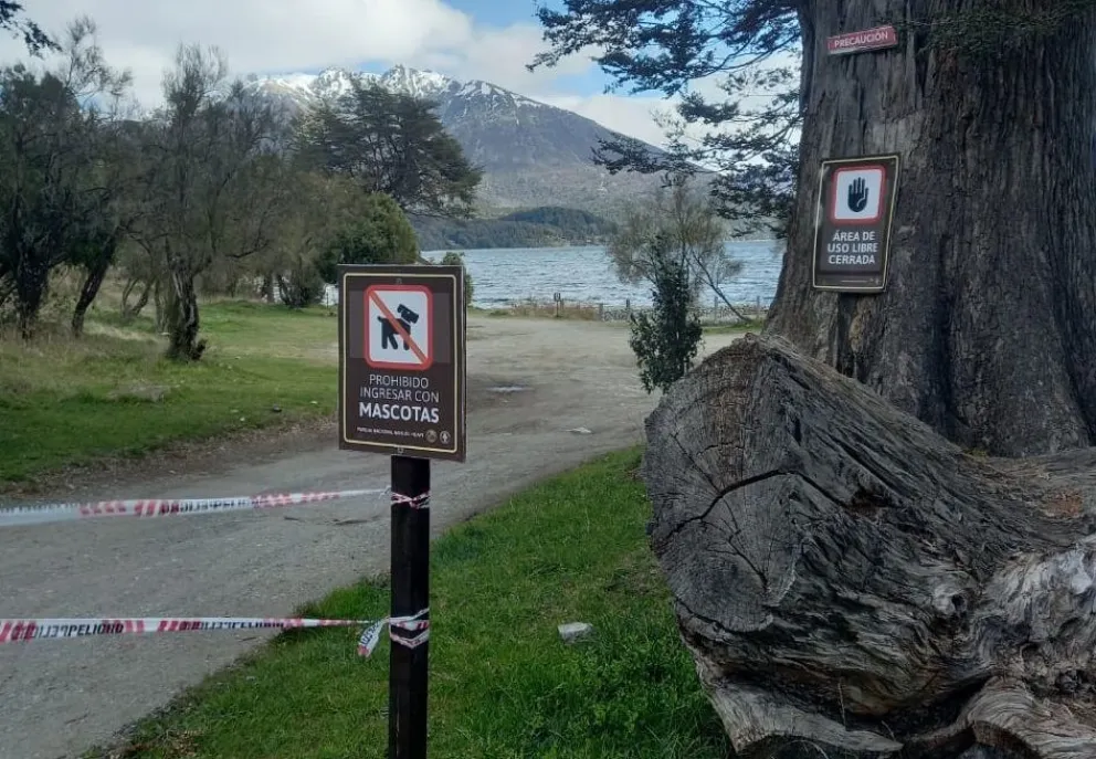 Solicitan circular con precaución en la zona de Lago Mascardi sobre ruta 40