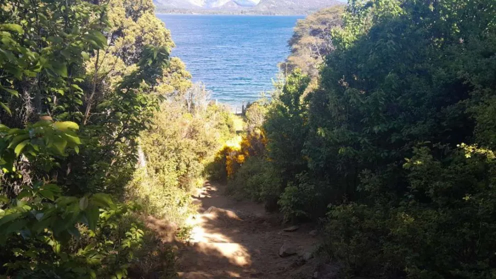 La Delegación Lago Moreno realiza trabajos de mejoras de cara al verano
