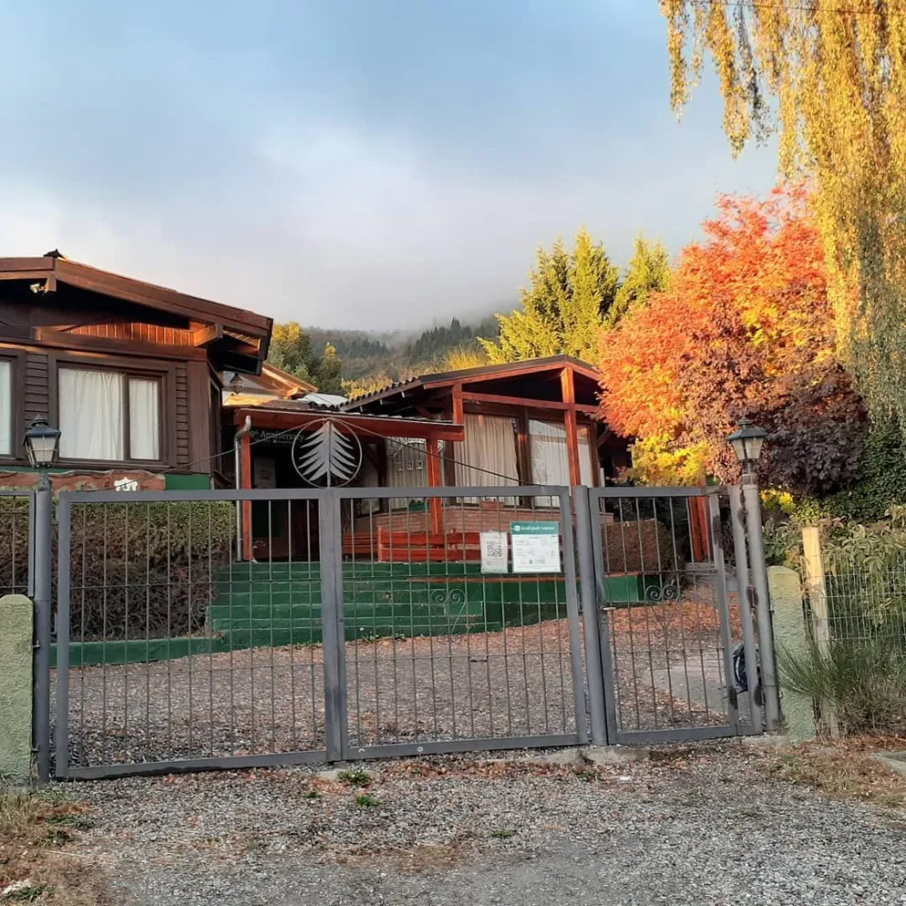 "Fue un año lleno de cambios, desafíos y aprendizaje", dicen desde Evergreen English