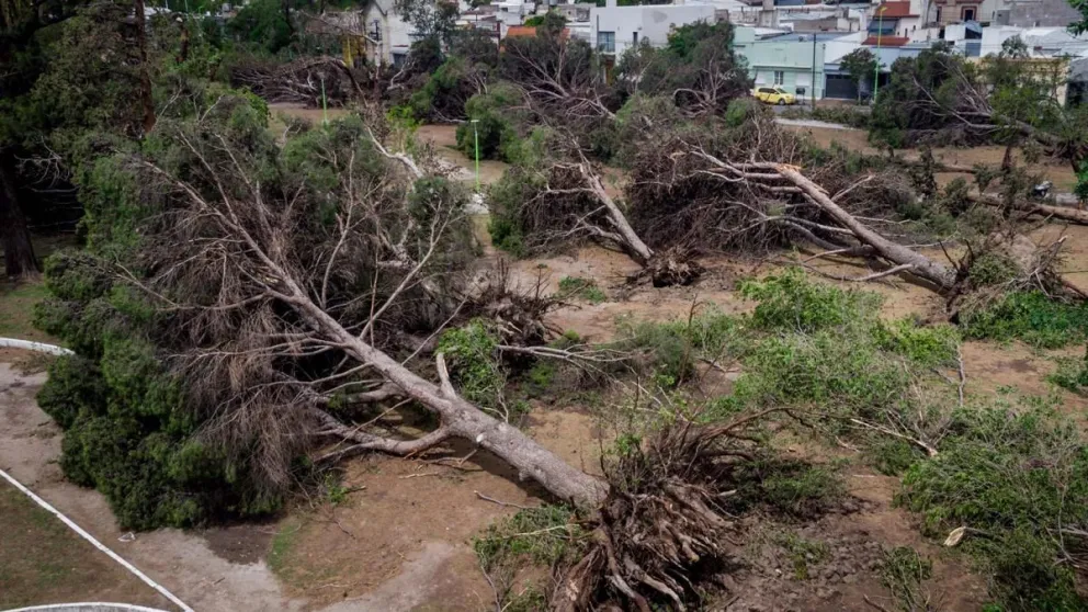 Los expertos del Conicet analizaron el fenómeno climático y sus consecuencias
