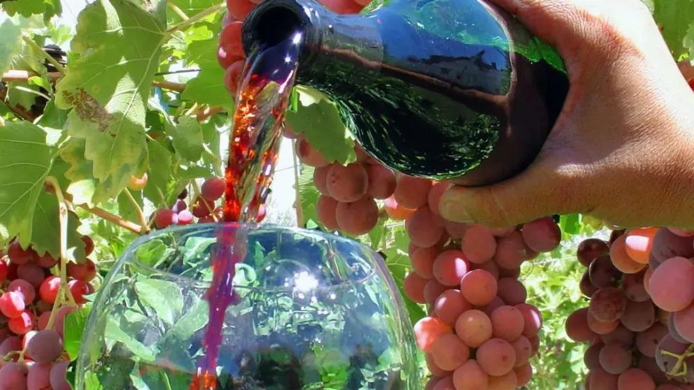 El enoturismo de Río Negro se lucirá en la feria Puro Vino Bariloche