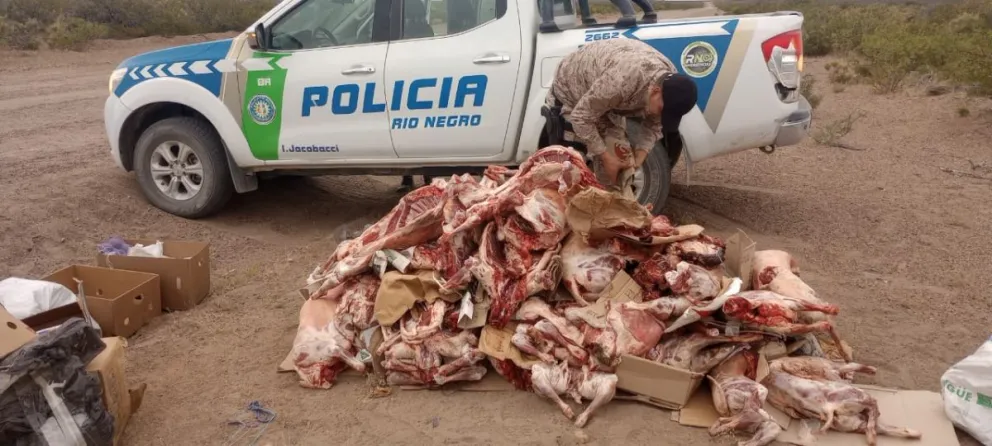 Llevaban 50 animales faenados en un colectivo de línea
