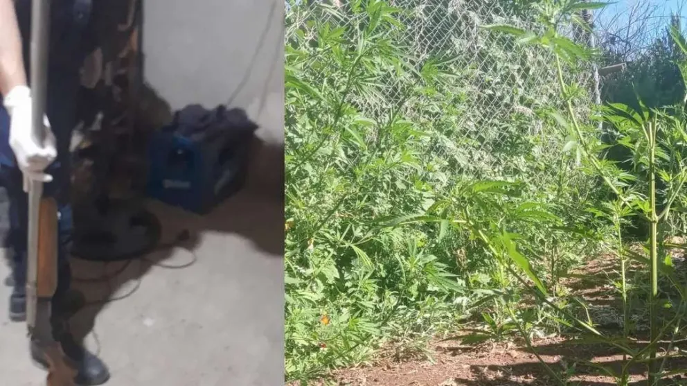 Realizaron tres importantes operativos contra el narcotráfico en Río Negro