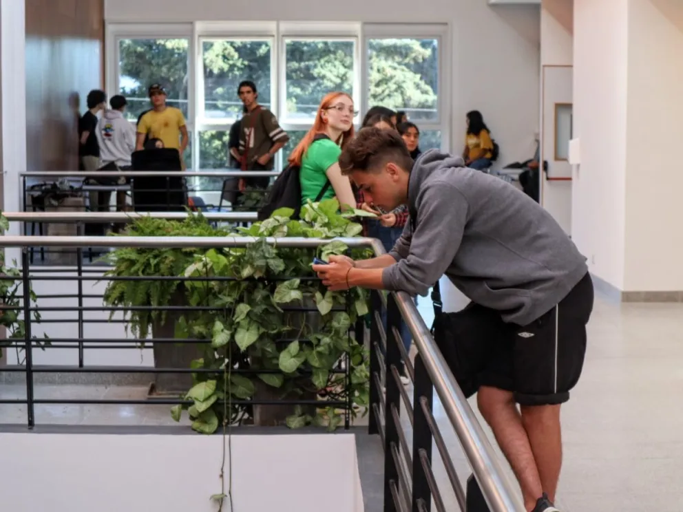 Este año se podrán cursar materias totalmente virtuales en la UNRN Sede Andina