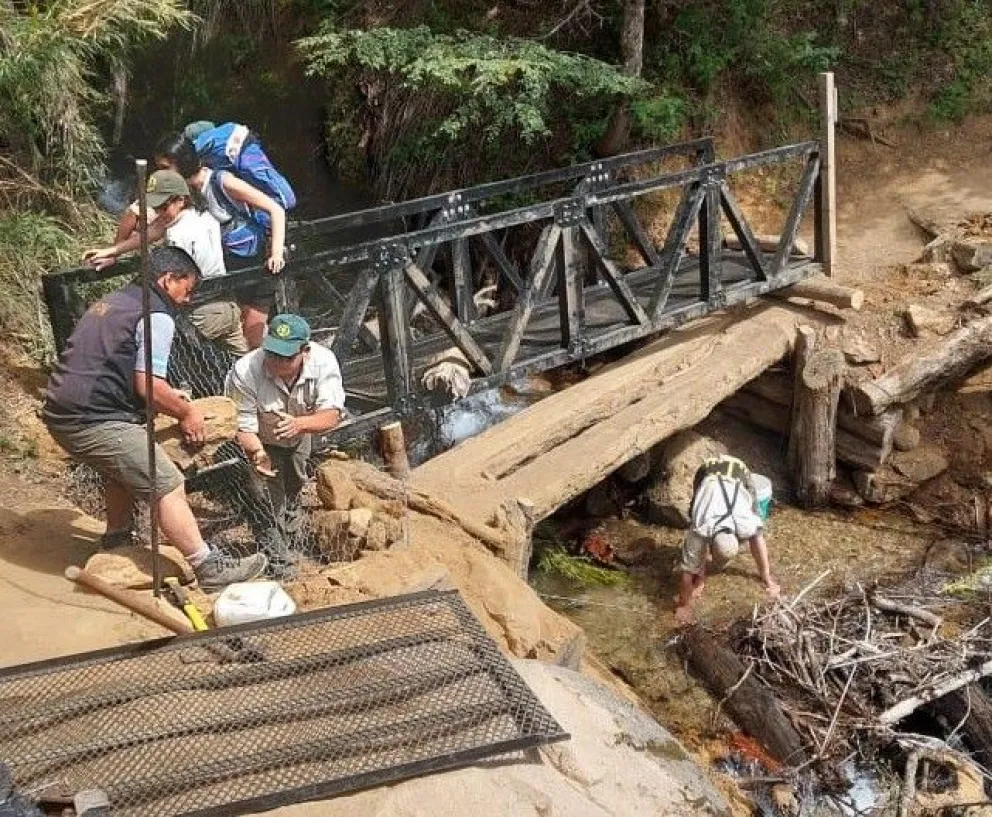 Parques instala nuevos puentes en el sendero al Refugio Frey facilitando la accesibilidad