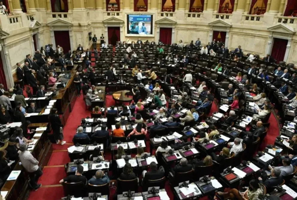 Cuáles son los puntos que se tratan del DNU en el Senado