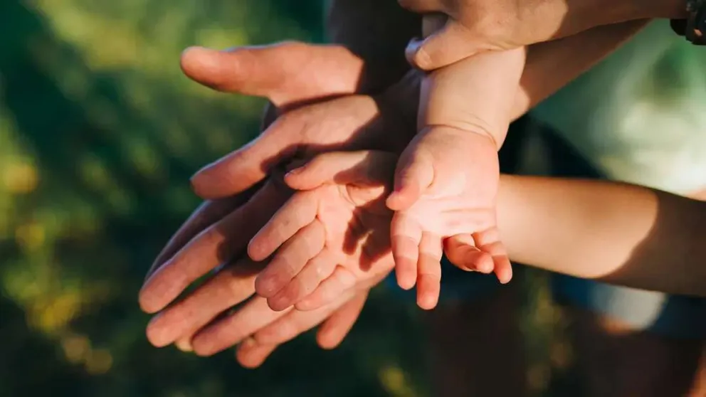 ¿Qué requisitos se deben cumplir para ser una Familia Solidaria?