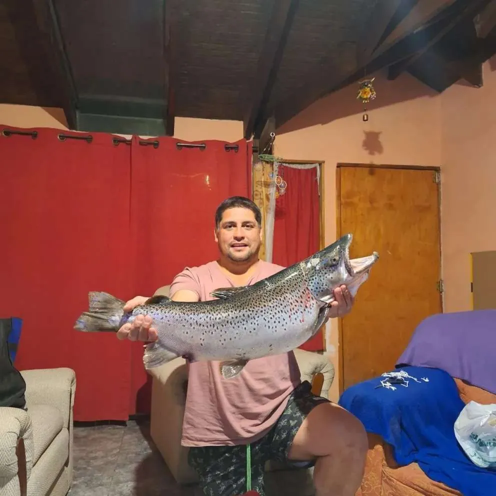 Un angosturense pescó una trucha de 6.5 kg en Brazo Rincón