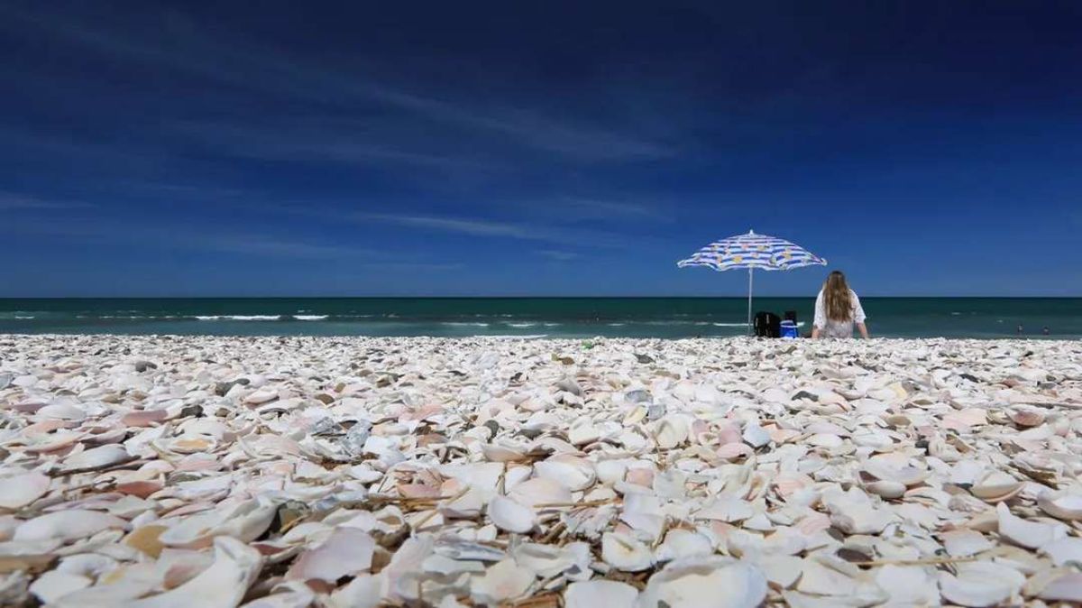 Cuatro playas rionegrinas entre las 10 mejores del país
