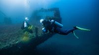 Hay un mundo submarino por descubrir, ¿te animás a vivir la experiencia?