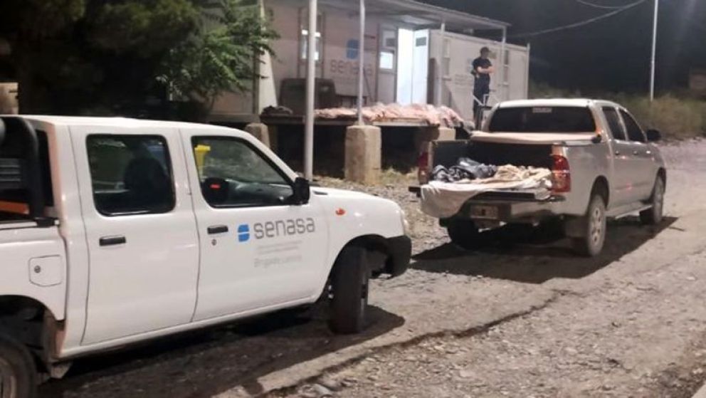 Patagonia: Decomisaron 600 kilogramos de costillares ingresados ilegalmente