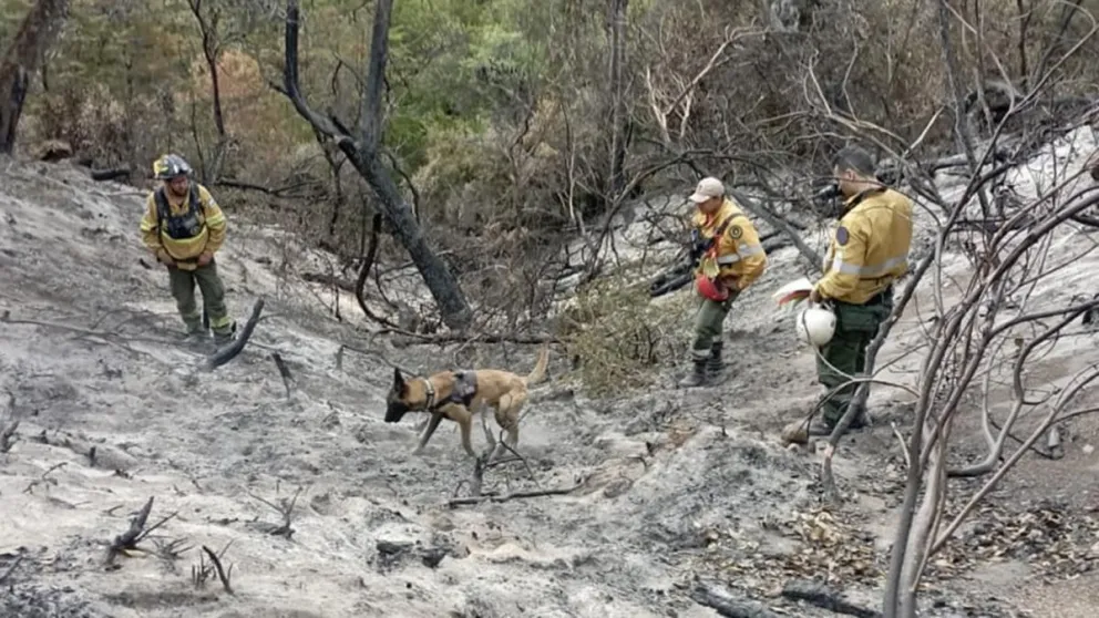 Chubut ofrece 5 millones de pesos de recompensa para quien aporte datos sobre los incendiarios