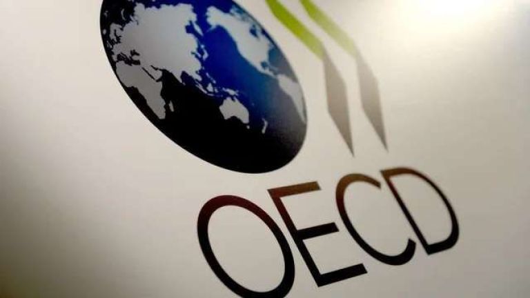 La OCDE empeoró sus previsiones para la Argentina: inflación del 250% y recesión del 2,4%