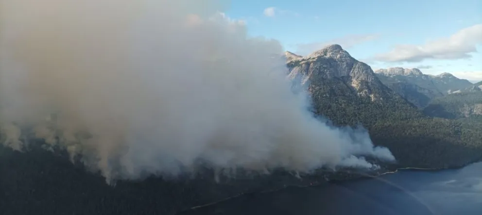 Video: Continúa la intervención en el incendio en Brazo Tristeza