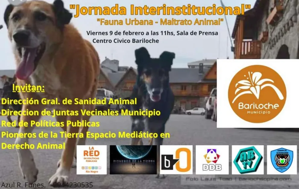 Llega la primera jornada interinstitucional de fauna urbana y maltrato animal