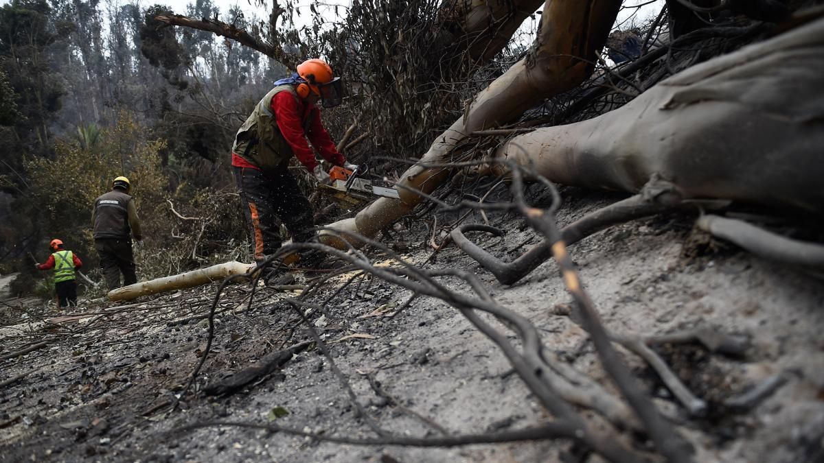 Chile: los bomberos lograron extinguir los incendios que dejaron más de 130 muertos