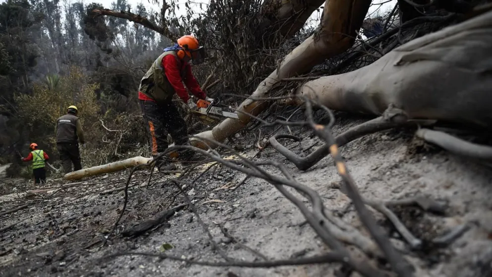 Frente a altas temperaturas, continua el alerta por incendios