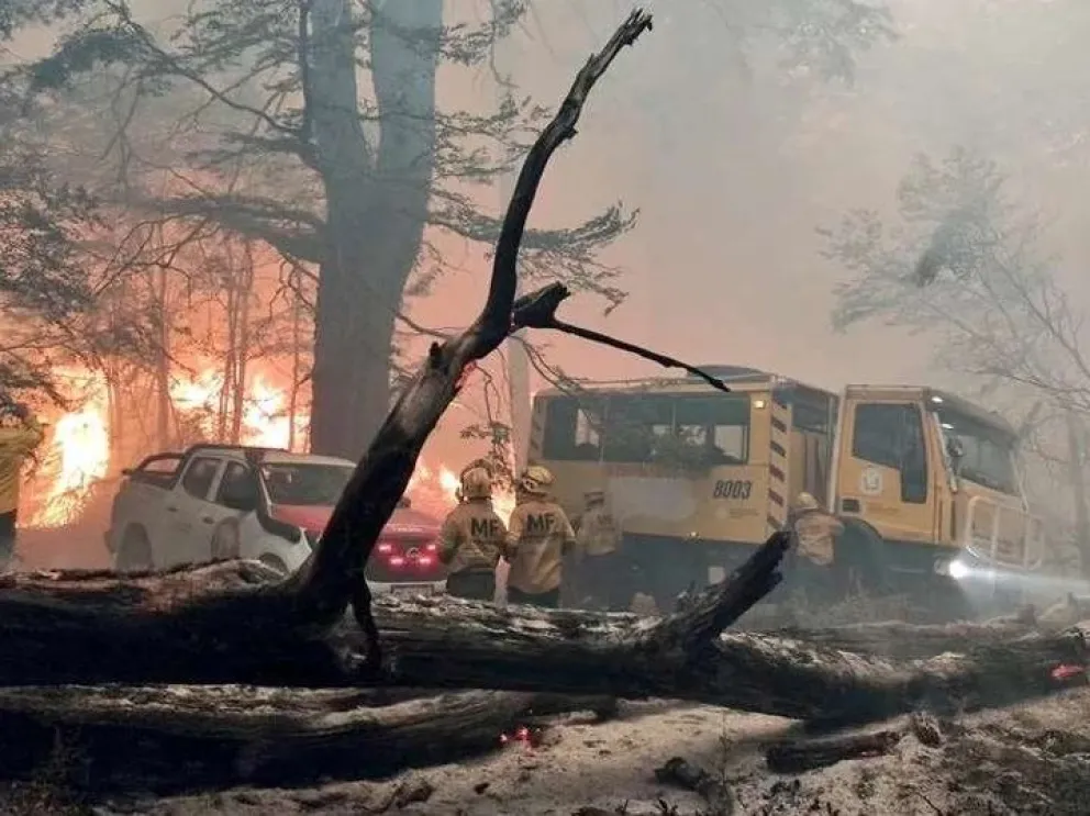 Ofrecen millonaria recompensa para saber quién originó el incendio en el Parque Nacional Los Alerces