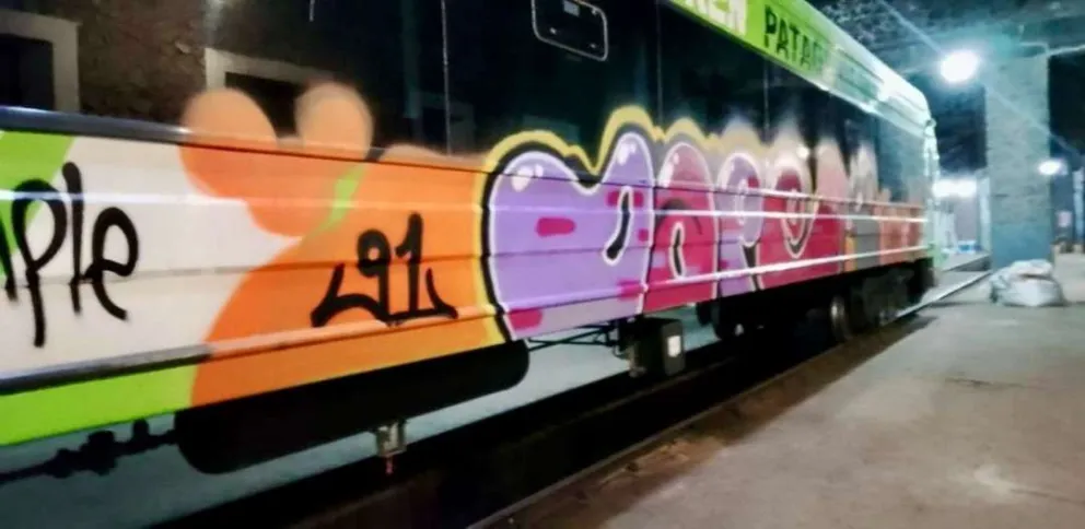 Piden información que permita dar con quienes vandalizaron el Tren Patagónico