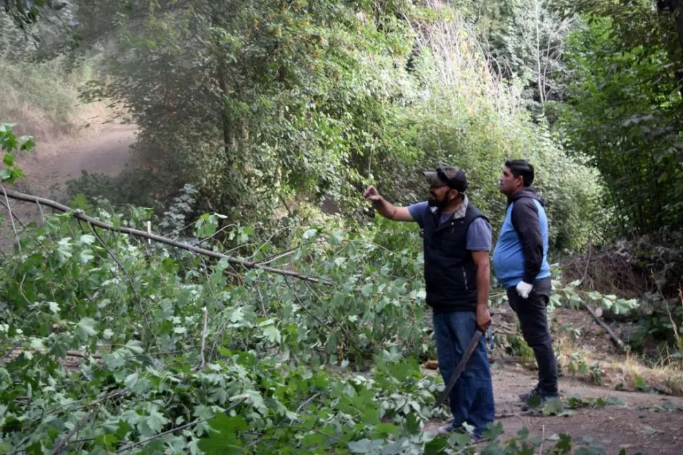 Conectividad: Comenzaron los trabajos para unir Brown con Vuelta de Obligado