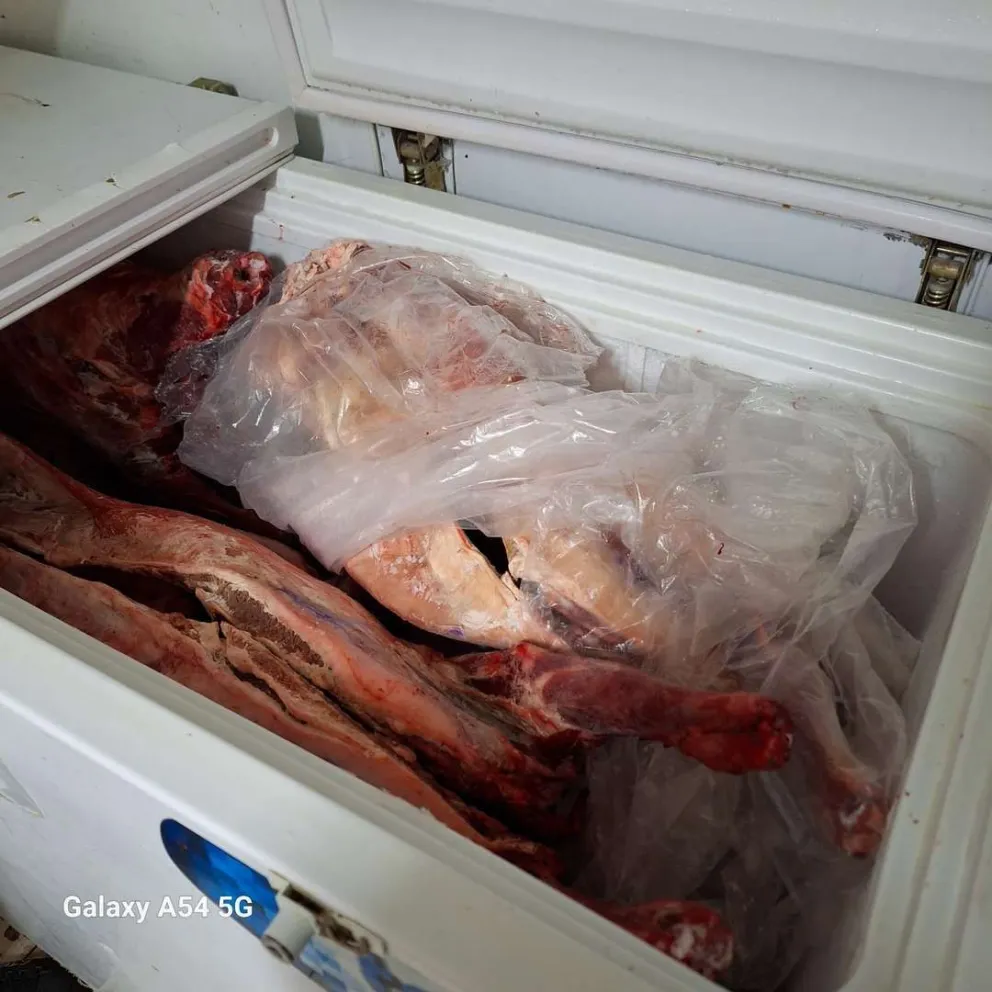 Inspección General secuestró carne sin cuidados de salubridad e higiene