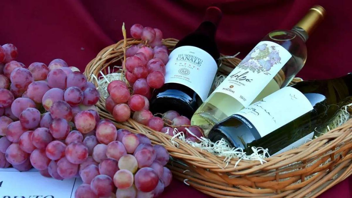 Villa Regina celebra a la producción vitivinícola